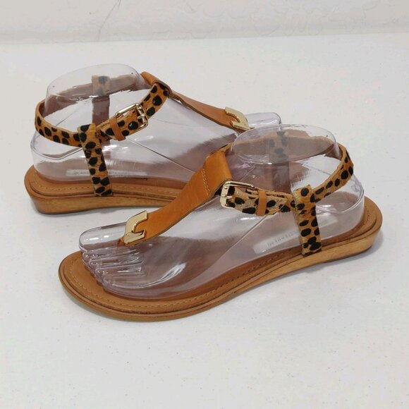 Diane von Furstenberg Dion Cheetah Leather Thong Sandals Women's Size 7 - Picture 2 of 11